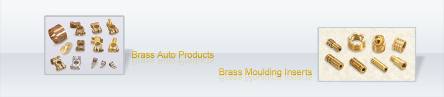Brass Auto Parts and Moulding Parts